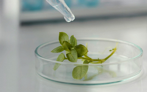 01 - ����� ��ǰ