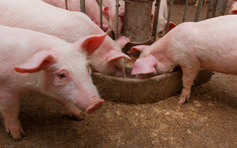 02 - ���� ��ǰ 